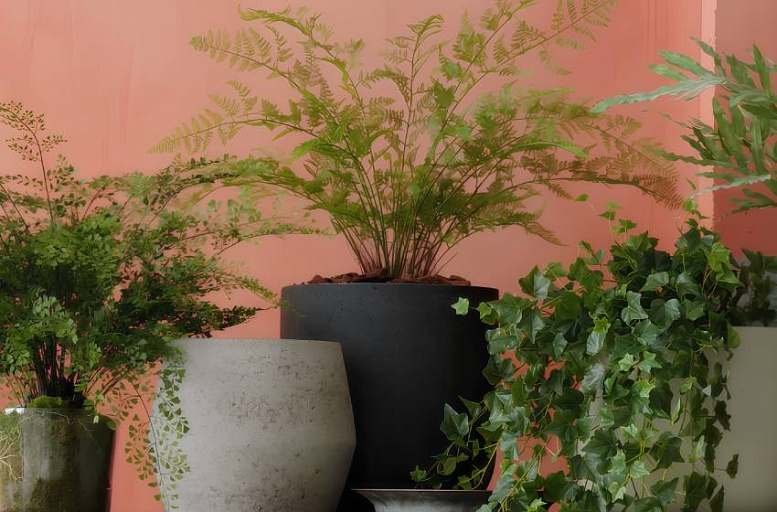 Искусственный аспарагус: практичное решение для декора интерьера